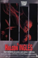 el-halcon-ingles.jpg